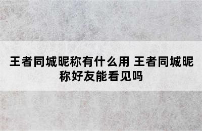 王者同城昵称有什么用 王者同城昵称好友能看见吗